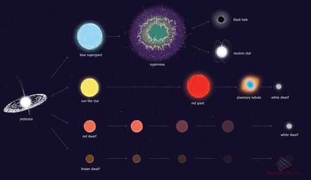 宇宙蚂蚁发出的激光