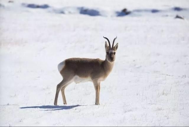 此生必走一次的中国最美景观大道