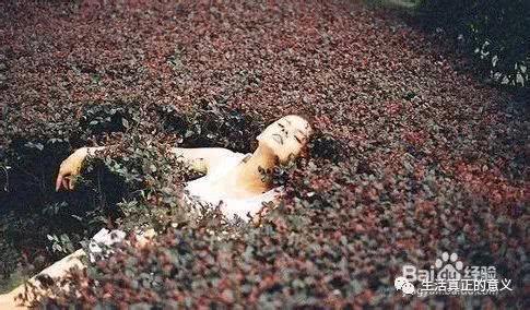 人生感悟:怎样的生活才有意义