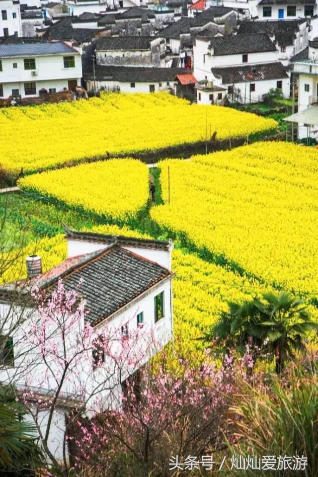 3月份最值得去的20个地方，全都美哭了，新春第场一旅行你去哪儿