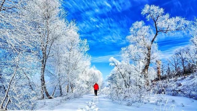 2019放假安排公布,五一假期单休一天,拼假怎么