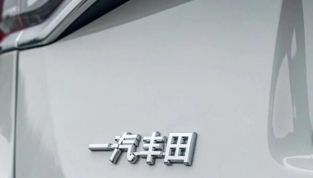 打临牌需要什么资料