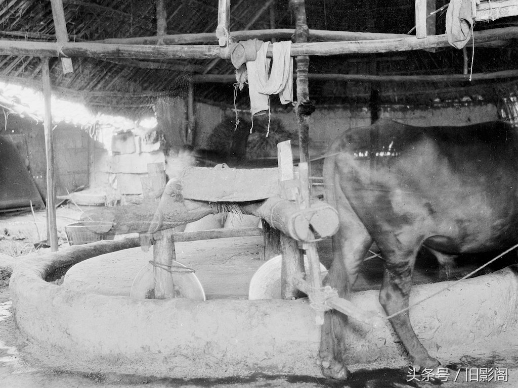 老照片:百年前的四川乡村,遂宁县安居镇