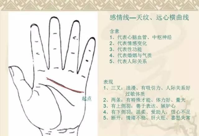 神奇的五行手诊学--图文并茂,通俗易懂!