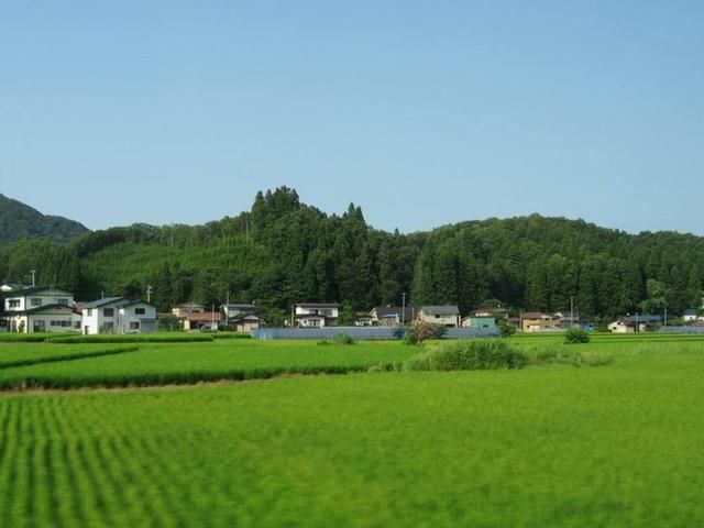 为什么有人说日本的农村比城市富裕?是真的吗