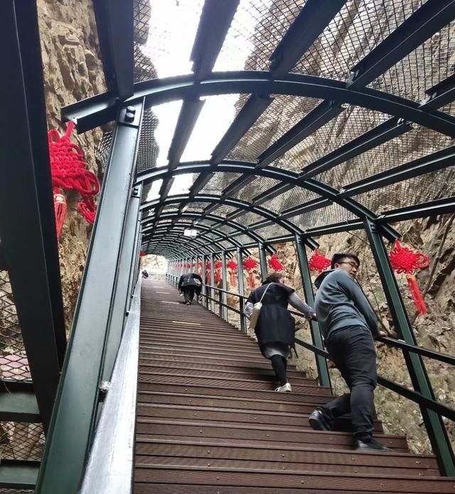 说什么你说嘛你说