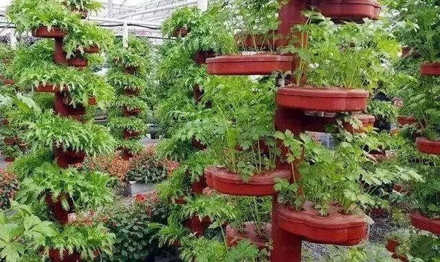 草莓采摘攻略,兰州周边草莓采摘基地全在这里