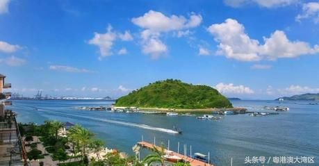 香港林郑月娥来惠州了!粤港澳大湾区发展规划纲要即将出台!