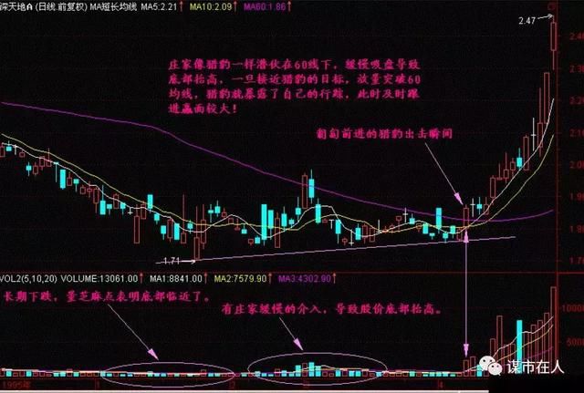 中国股市选股精讲：猎豹出击96.87%捉牛股，捉不到牛股我打你！