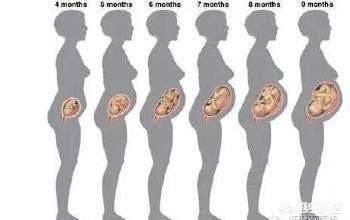 大多数孕妇都担心自己肚子的变化,可是怀孕多