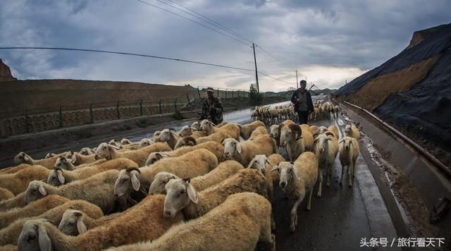 除了东北、山东，中国这地方人的酒量，其实也很惊人