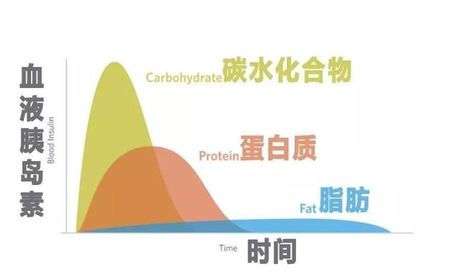 胰岛素是蛋白质还是脂肪 t0172c8e4d563b07fb0.jpg
