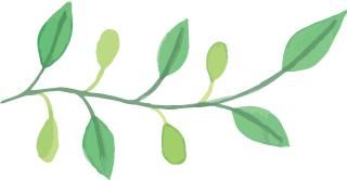 有钱任性！土豪们最爱选的庭院树，你选对了吗？