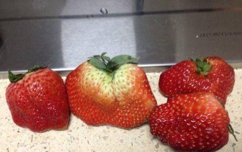 冬天买什么水果吃