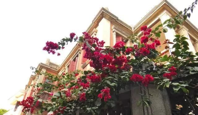 4天3晚自由行?玩转厦门所有景区最强攻略!