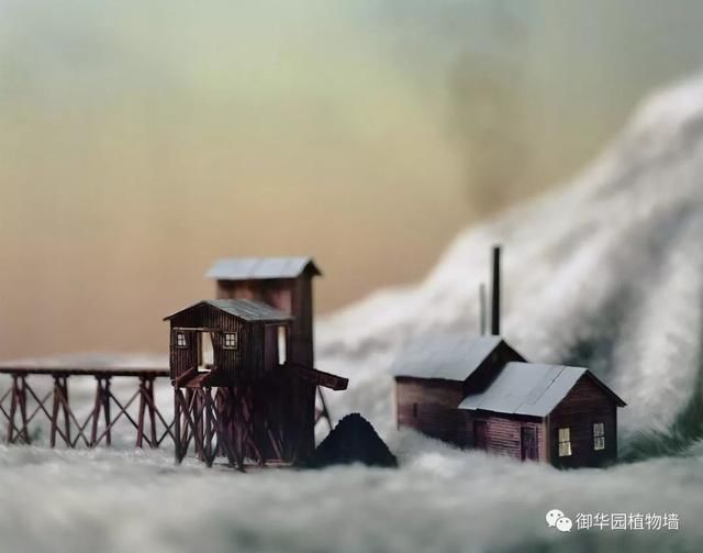 皮毛上的微景观，还原自然之美