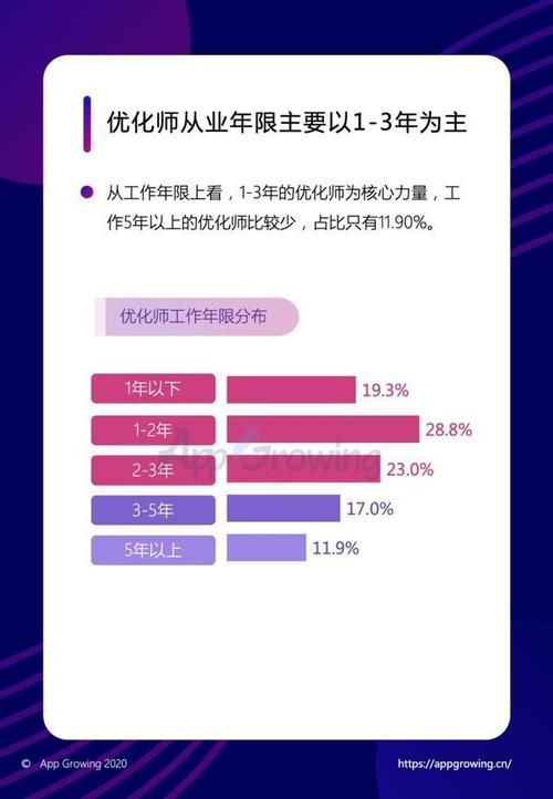 分析报告怎么写