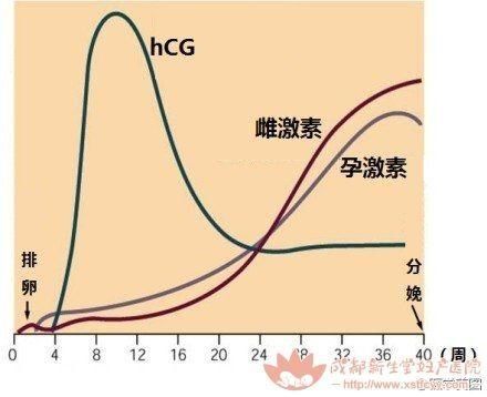 辟谣｜坐月子玩手机，会瞎吗？