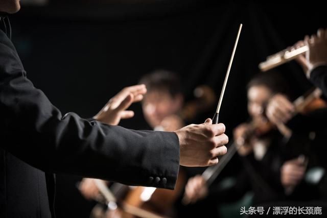 指挥家,指挥家mbti