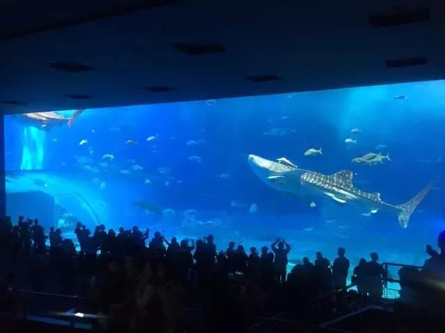 如果旅行是毒药，那姐妹淘就是我的解药！