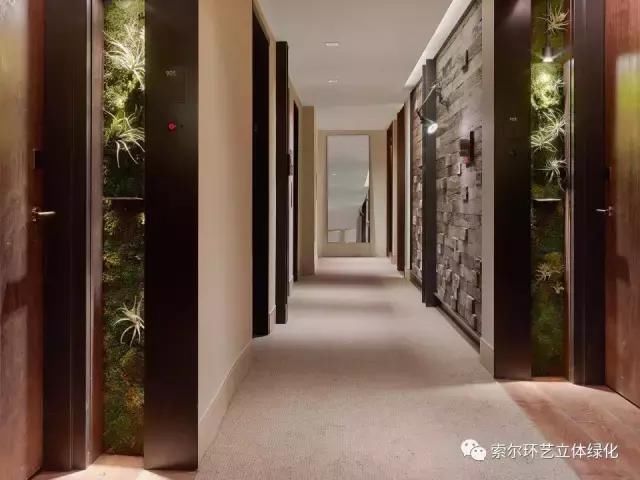 何为立体绿化？竟然成为高大上的标志，当今立体绿化工程的发展