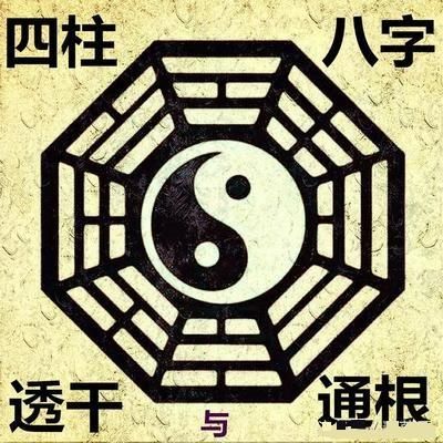 四柱八字通根和透干的特征意义