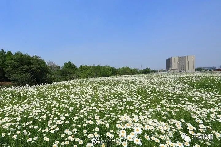 五一无锡哪里景区人拥挤?江苏旅游局发话:看我这张表……