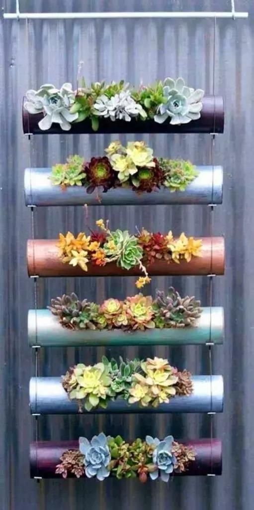 鸡蛋壳里种多肉植物,萌萌哒