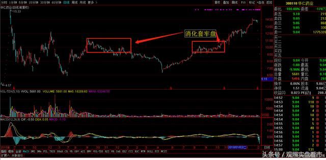 此股连续跌停，原因在此，股民:原来这才是技术分析的真谛