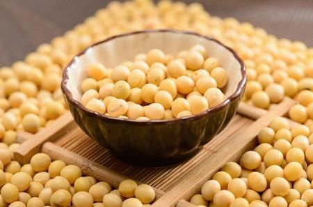 中美经贸摩擦催生大豆三角贸易!美国高粱双反