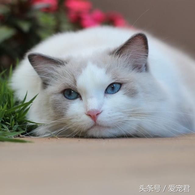 t0174dc73000c012594.jpg