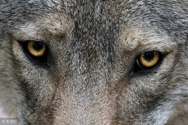 福利彩票到底有没有人控制开奖结果?