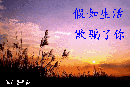 假如生活欺骗了你欺骗_假如生活欺骗了你结局_假如生活欺骗了你37