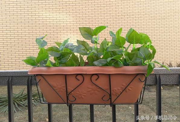 魅蓝S6用三星芯还被喷,如果换成高通芯,荣耀和