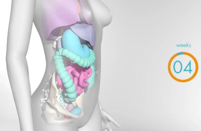 怀孕一个月怎么办