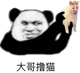 t0175db4a85b3b19b56.jpg