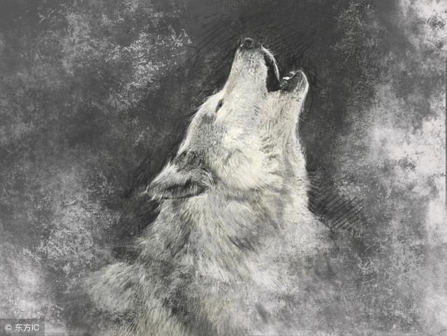 中国股市进入自杀时代，谁能为处于严重亏损的股民负责？