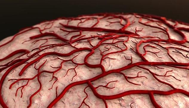 身体出现8大症状，你的血管已经堵塞，睡前做3件事可通血管
