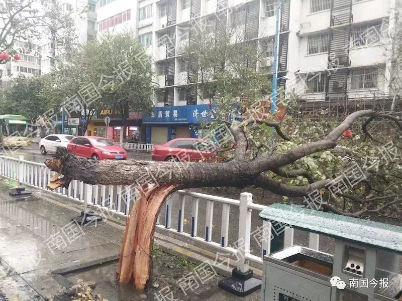 热到35℃、狂风暴雨冰雹!广西天气虐人，下周降温跌至7℃