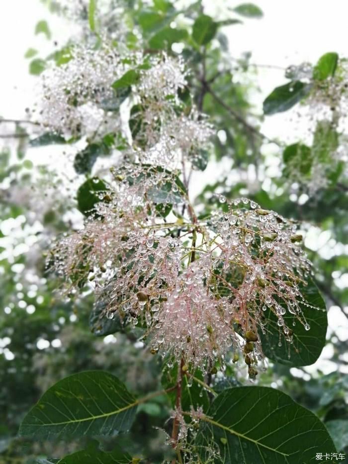 陕西福特车队秦岭大峪自驾游汇报帖