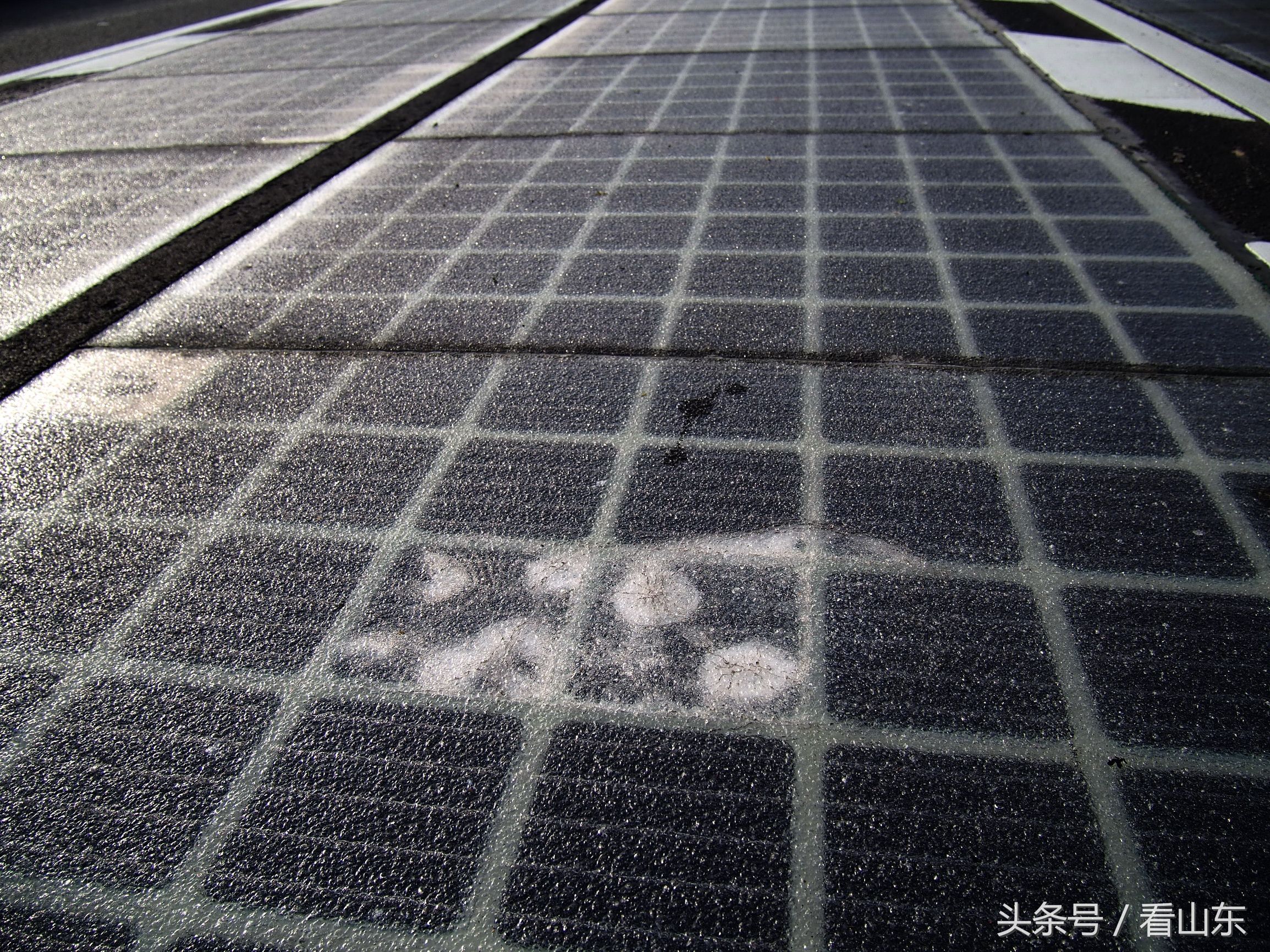 首条光伏高速通车后疑遭"偷盗"性破坏 现场图_【今日爆点】