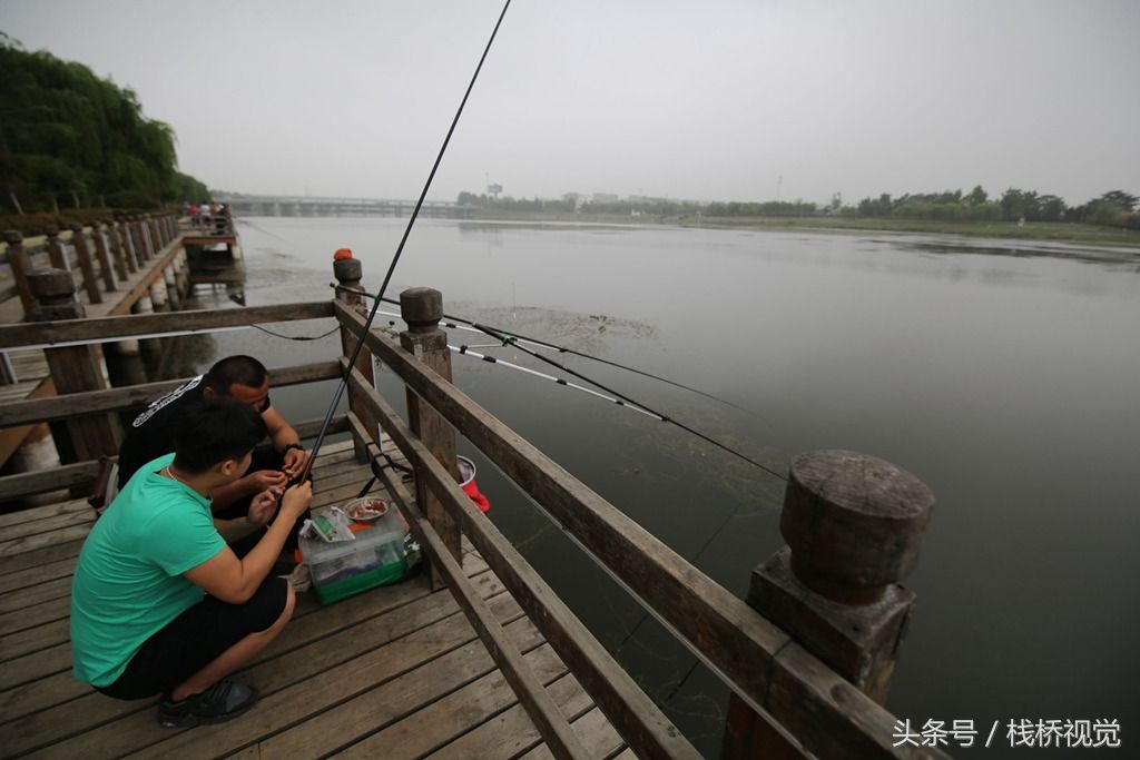 大雨过后河中鱼儿真多，青岛市民扎堆钓鱼乐真是舒坦