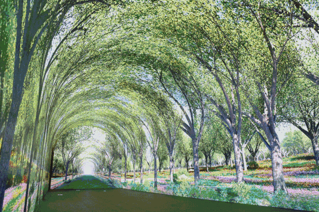 世界银杏博览馆导览｜二、从最美的时光隧道穿越到侏罗纪