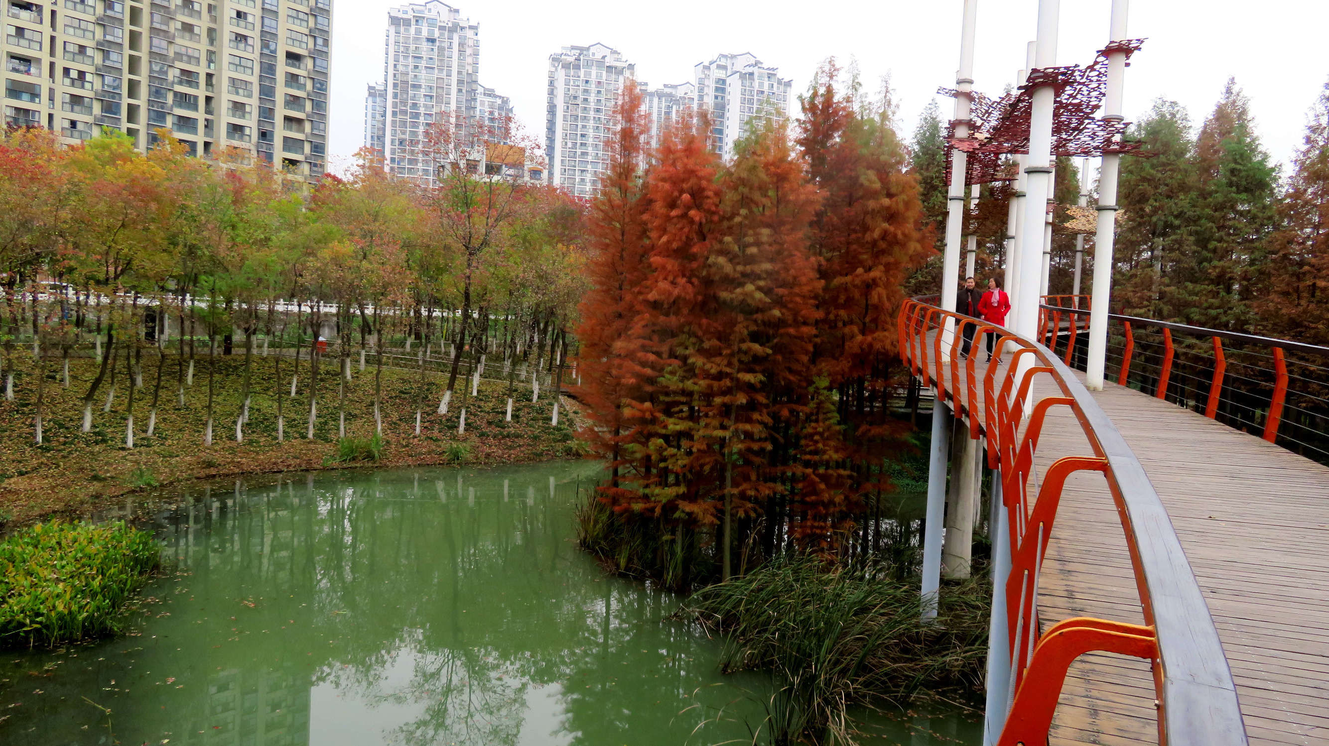 湖北宜昌最美的公园?这个公园冬季景观美如画