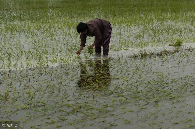 这4种农民请小心，你们很可能失去土地而沦为“失地农民”！