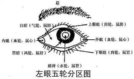t0176a05995a3668190.jpg
