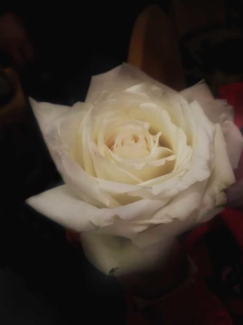 6:30的集结号_【今日爆点】