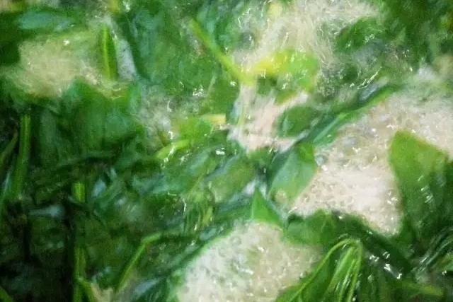 菠菜汁和面怎样做更绿?