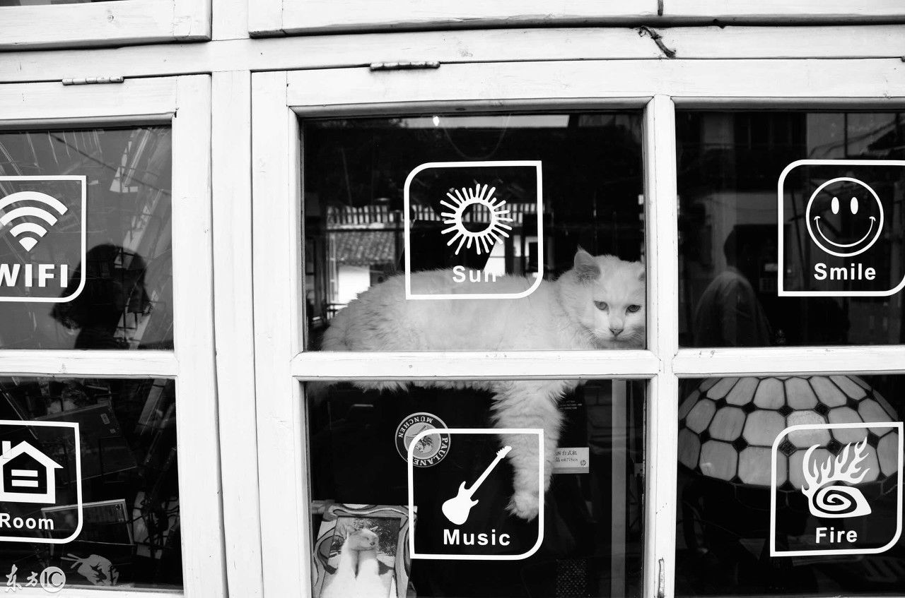 江南古镇-上海朱家角镇