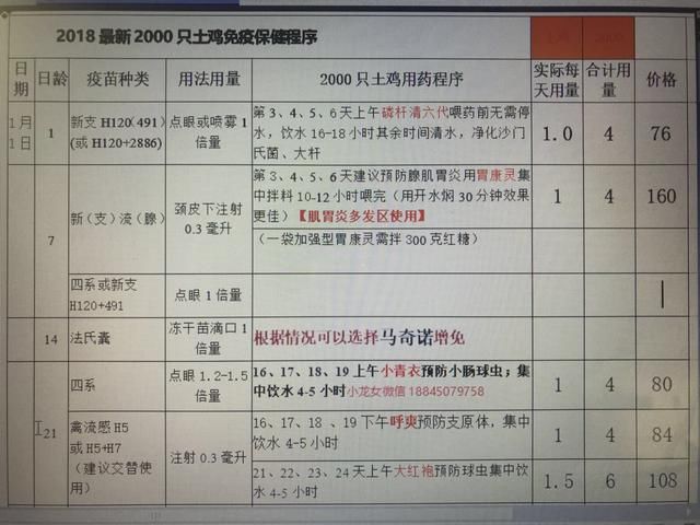 养鸡秘诀：这四种人养鸡才是土鸡市场的主角，才能赚到钱！